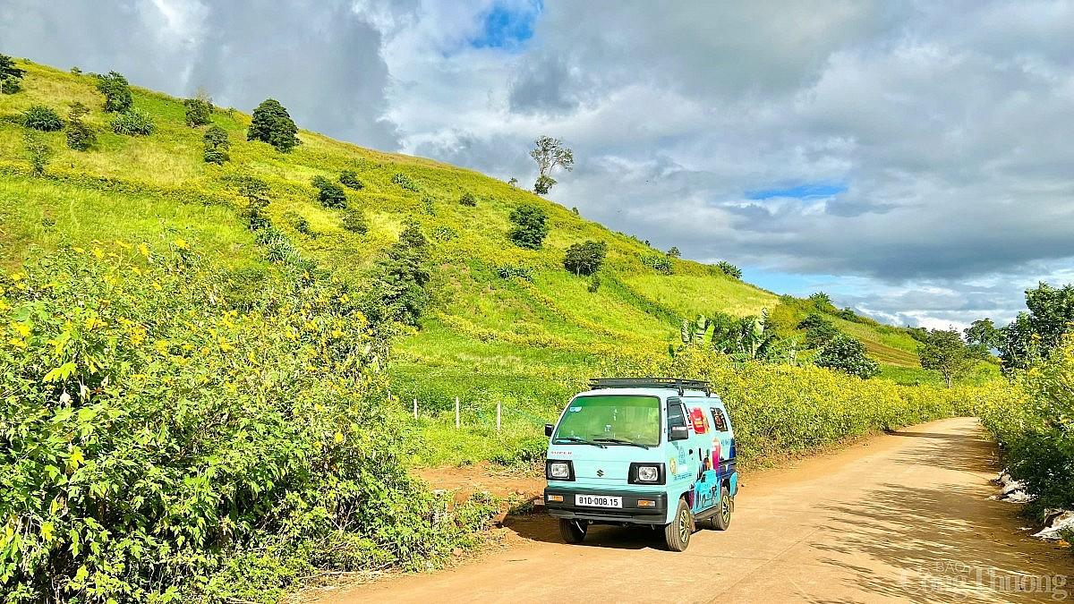 Ngắm hoa dã quỳ khoe sắc trên triền núi lửa Chư Đang Ya mùa lễ hội Ngắm hoa dã quỳ khoe sắc trên triền núi lửa Chư Đang Ya mùa lễ hội