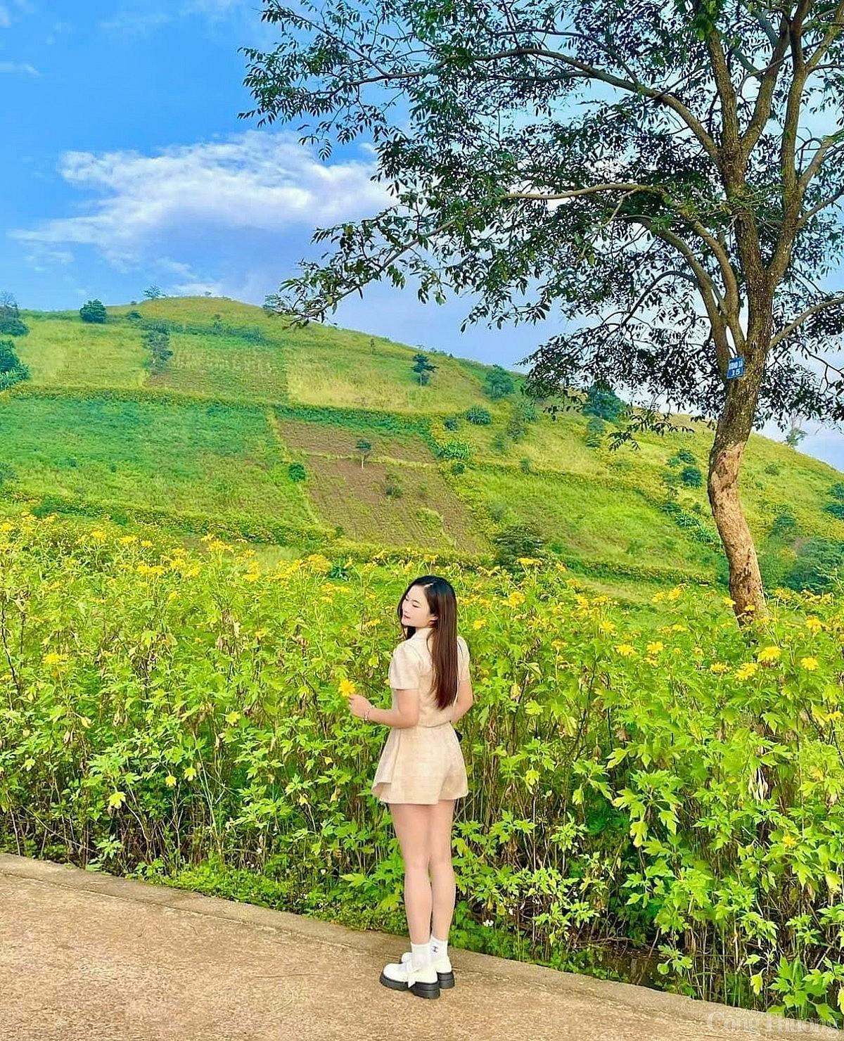 Ngắm hoa dã quỳ khoe sắc trên triền núi lửa Chư Đang Ya mùa lễ hội Ngắm hoa dã quỳ khoe sắc trên triền núi lửa Chư Đang Ya mùa lễ hội