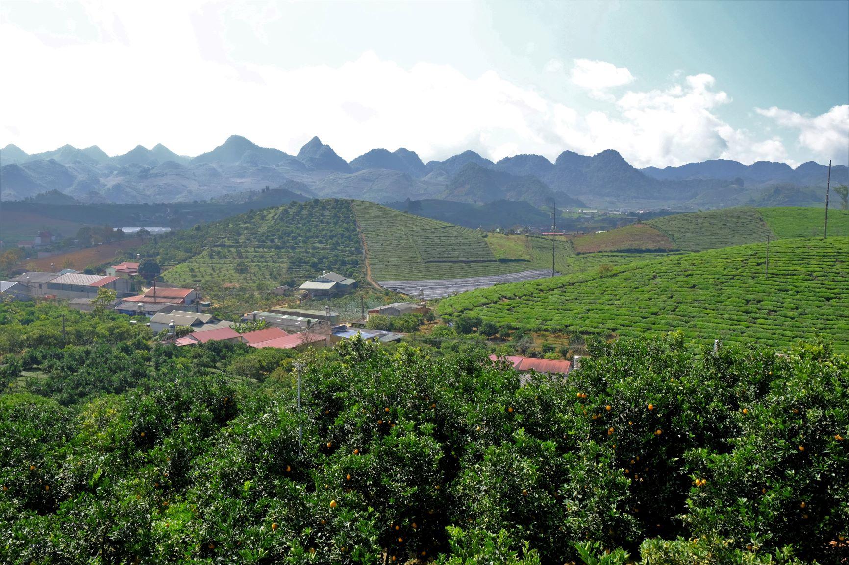 Vườn có xây dựng một chòi ngắm từ trên cao, góc nhìn bao quát toàn vườn cam nằm giữa những đồi chè xanh mướt nhấp nhô, phong cảnh rất đặc trưng của Mộc Châu.