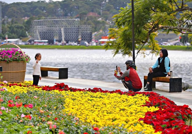 Hơn 500.000 chậu hoa được bài trí dịp Festival hoa Đà Lạt