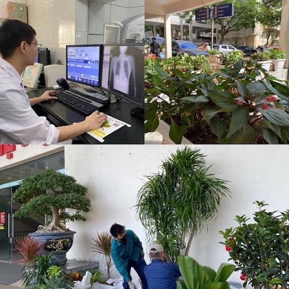 Cây xanh được chăm sóc thường xuyên, mang lại không gian làm việc tươi mát cho cán bộ y tế. Ảnh: Hương Giang