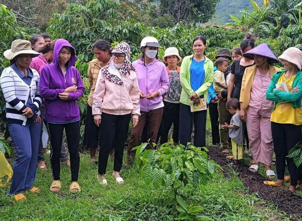 Người dân học cách chăm sóc, cải tạo vườn cà phê để tăng năng suất. Ảnh: Trà My