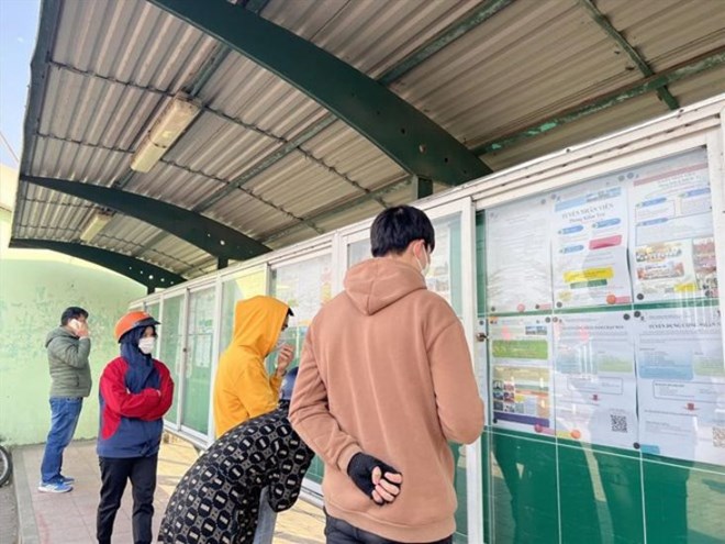 Lao động tìm việc cuối năm, kỳ vọng lương 8 - 12 triệu đồng