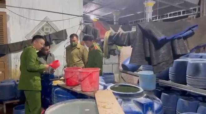 Lý do không khởi tố vụ án cơ sở trồng giá bằng hóa chất