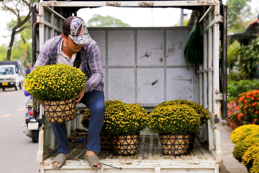 được các thương lái đưa từ nhiều vùng miền về, cũng như chủ các vựa hoa đưa từ các làng quê lên phố (Ảnh Đ.Minh)