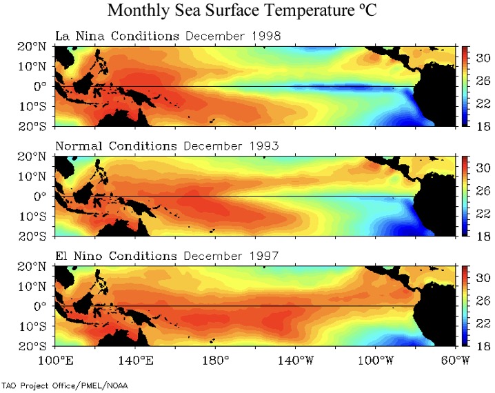 Nhiệt độ nước biển hàng tháng trong các năm La Nina. Ảnh: NOAA