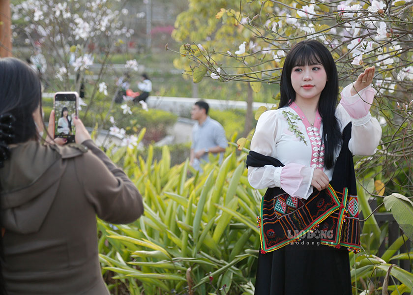 Hoa ban gắn với vẻ đẹp tinh khôi, quyến rũ của người con gái Thái.