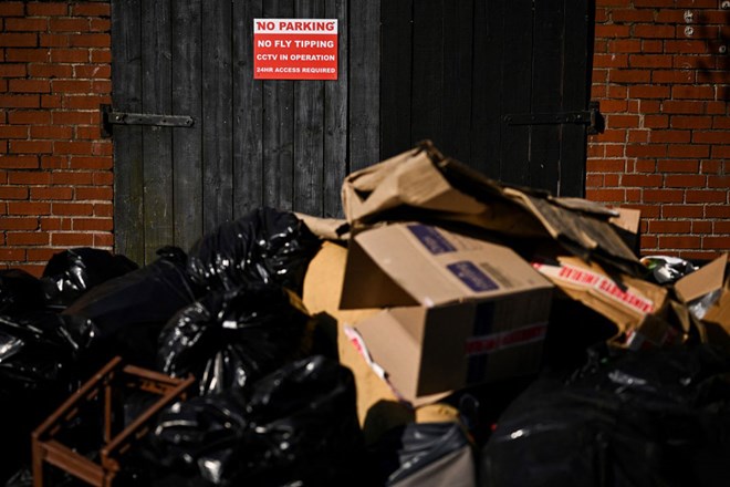 Phát hoảng vì nạn chuột khổng lồ hoành hành tại Anh