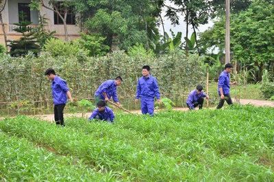 Cơ sở cai nghiện ma tuý số II (Lạc Sơn) quan tâm dạy nghề trồng trọt, chăn nuôi... giúp học viên rèn luyện kỹ năng  và có định hướng việc làm trước khi tái hoà nhập cộng đồng. Ảnh:  Đơn vị cung cấp