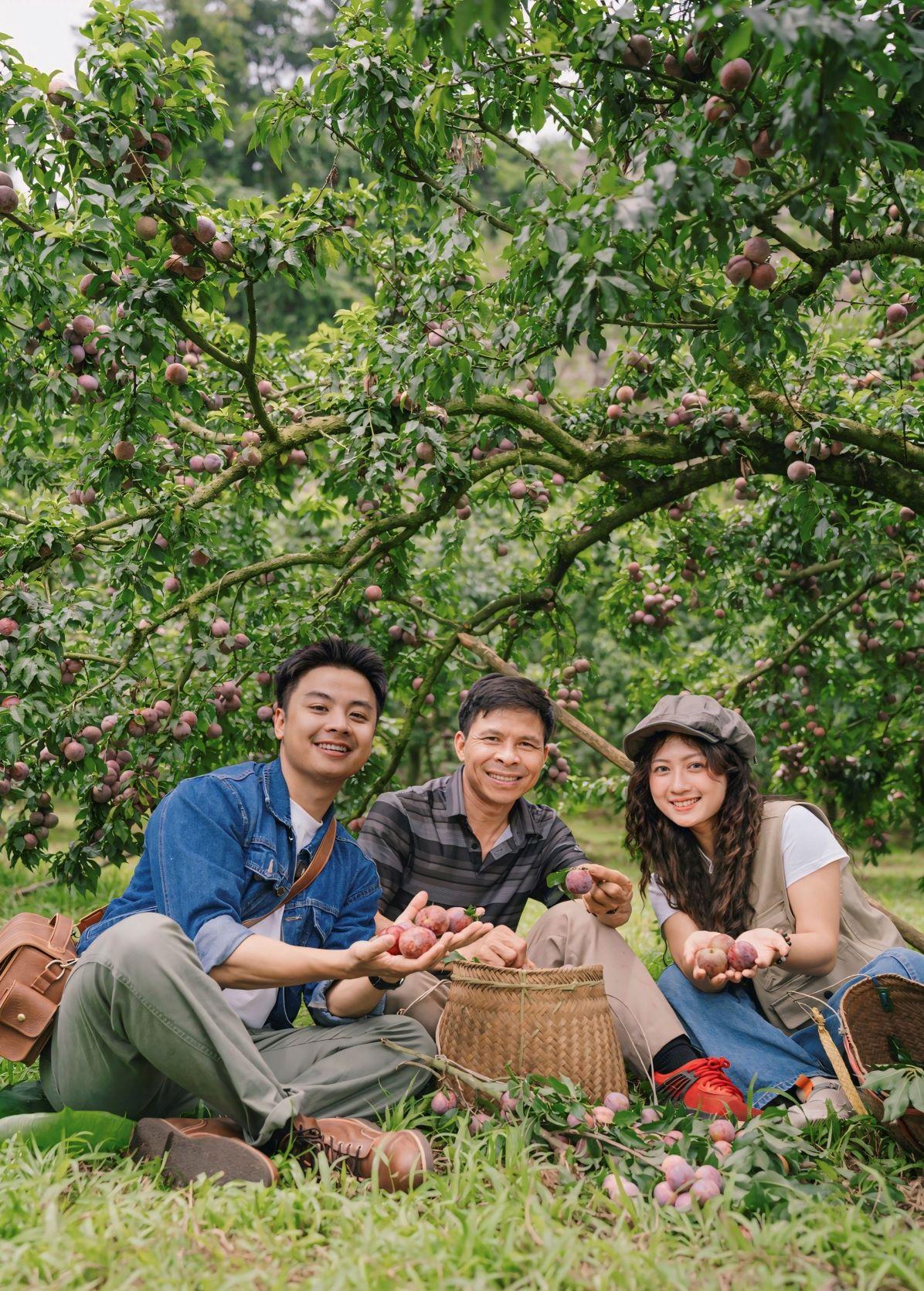 Sinh ra lớn lên ở Mộc Châu, Quang Kiên đã trải nghiệm cũng như hướng dẫn khách tới nhiều điểm ở quê mình nhưng anh vẫn thích thú khi được ngắm nhìn vườn mận sai trĩu quả đúng chính vụ. “Một buổi sáng có thể đi hái mận, nghe chủ vườn Nguyễn Xuân Văn kể chuyện trồng mận, chăm sóc cây và thu hái quả... cũng như làm thương hiệu mận ruby Mộc Châu“.