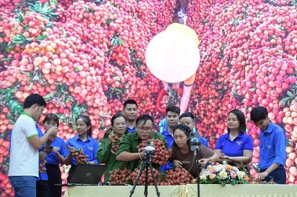 Bán vải thiều, Phó Chủ tịch Bắc Ninh nói nếu bà con cần, tôi sẽ tiếp tục làm
