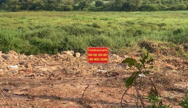 Khu vực tiêu hủy lợn bệnh này đã có dấu hiệu bị rò rỉ, nước đen ngòm chảy ra, bốc mùi hôi thối nồng nặc. Ảnh: Thùy Linh