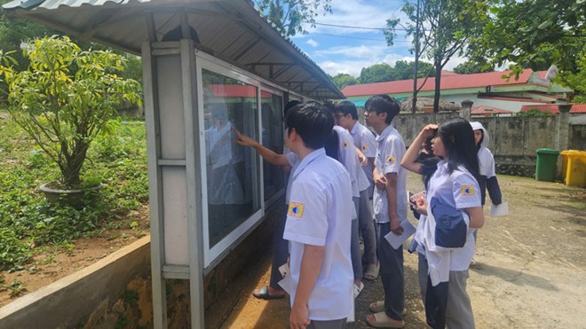 Tỉ lệ tốt nghiệp THPT năm 2025 tại vùng cao Lào Cai đạt 99,1%