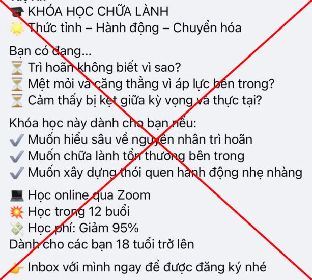 Những lời mời gọi khóa học chữa lành qua Zoom với giá ưu đãi. Ảnh: Nhân vật cung cấp