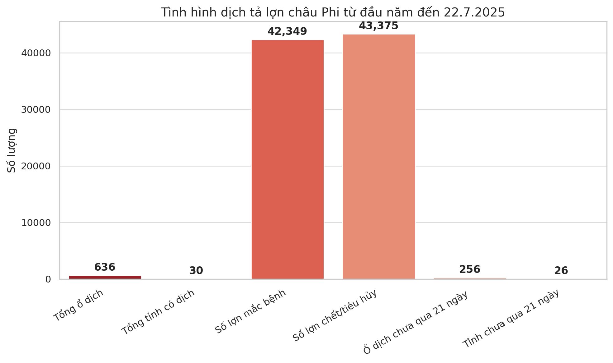 Đồ họa: TKTS