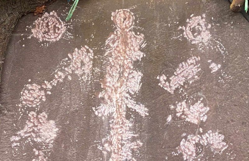 Hiện trạng bia đá cổ đã bị xóa hết các dòng chữ trấn yểm. Ảnh: Anh Dũng