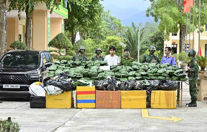 Bắt 1 đối tượng, thu giữ 240kg cần sa khô