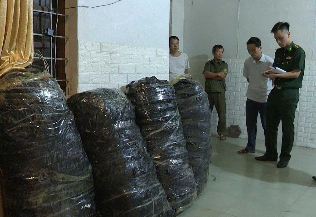 Tang vật cần sa thu giữ tại phòng trọ của Duy. Ảnh: Thanh Giang.