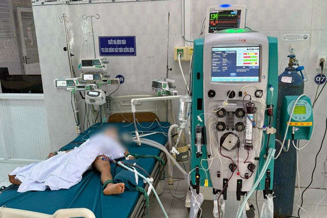 Ong vò vẽ vỡ tổ tấn công 3 em nhỏ ở Gia Lai, 1 bé tử vong, 1 bé nguy kịch