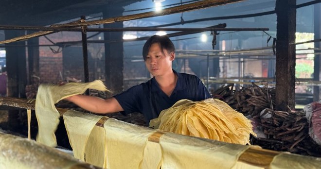 Trên 160 lao động Vĩnh Long được vay vốn Quỹ việc làm