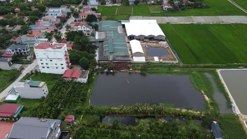 Xử phạt đối với trại bò xây dựng trái phép trên diện tích hàng nghìn m2. Ảnh: Quách Du