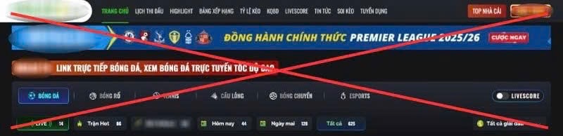 Không chỉ bóng đá, các môn bóng chuyền, tennis