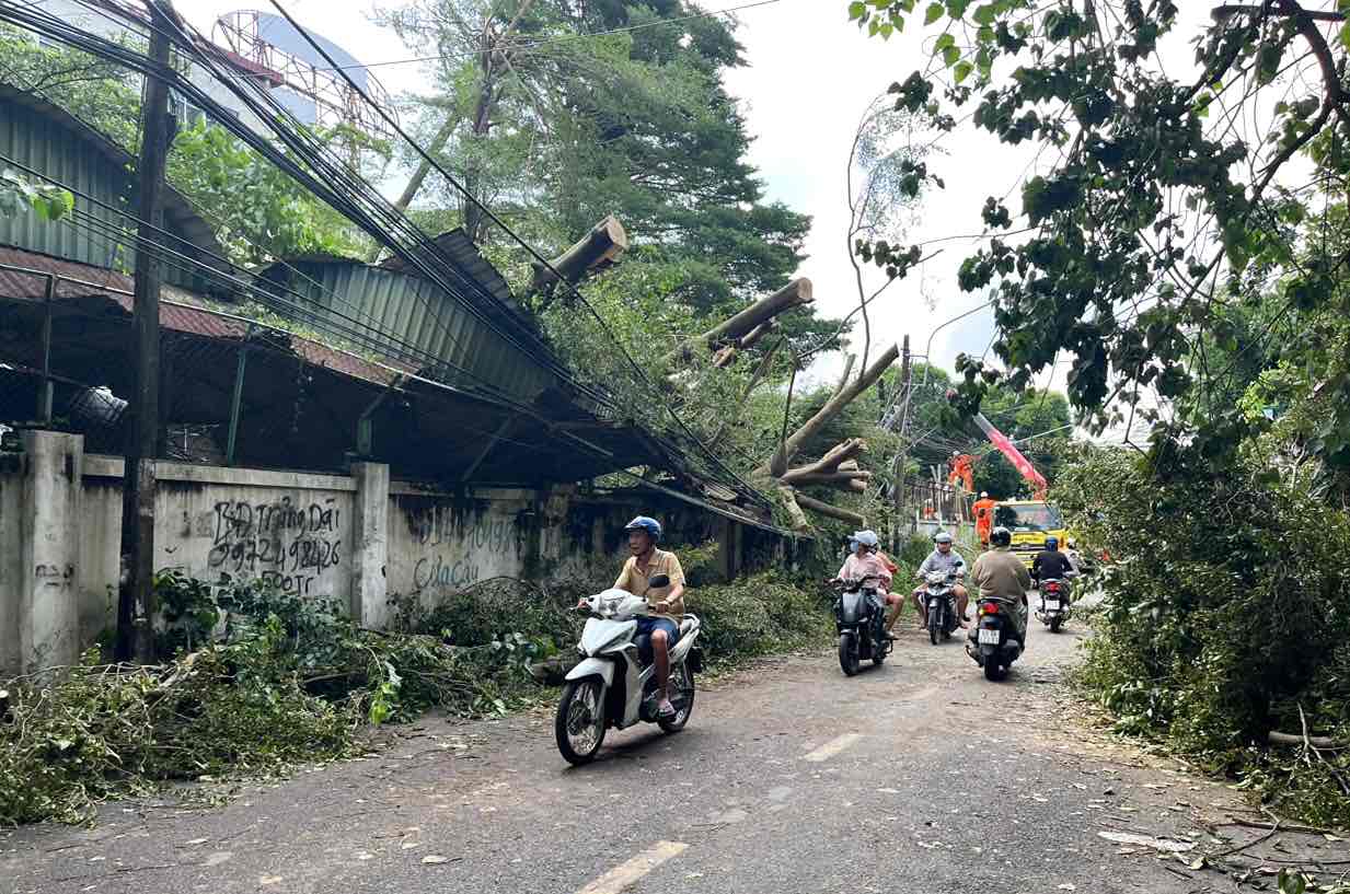 Cây xanh, cột điện ngã đổ gần trường tiểu học Tam Hiệp A cũng đang được xử lý. Ảnh: HAC