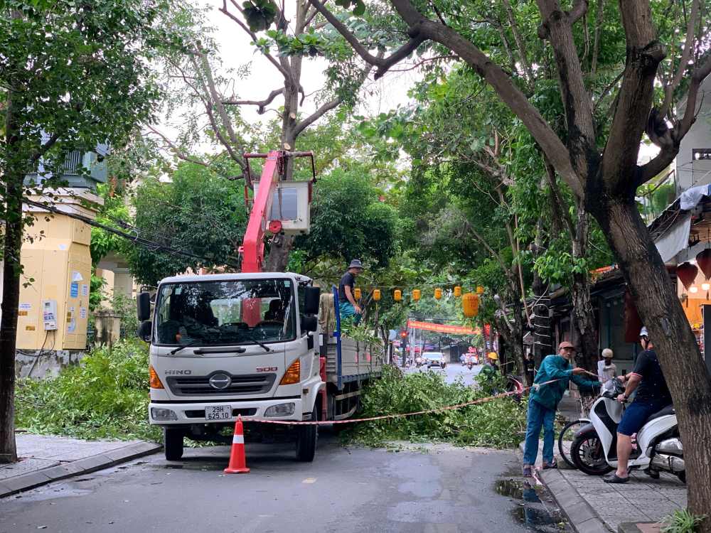 Khẩn trương cắt tỉa cây xanh tại một số tuyến phố ở Hội An, Đà Nẵng trước bão số 12. Ảnh: Thanh Huyền
