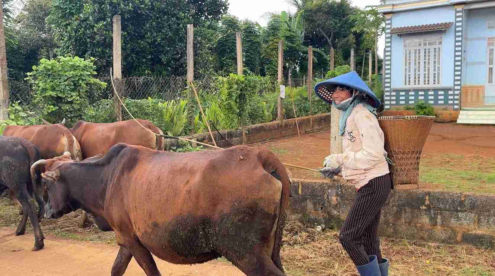 Nhiều đồng bào dân tộc thiểu số ở xã còn cố gắng mở rộng mô hình chăn nuôi, kiếm thêm thu nhập. Ảnh: Bảo Lâm