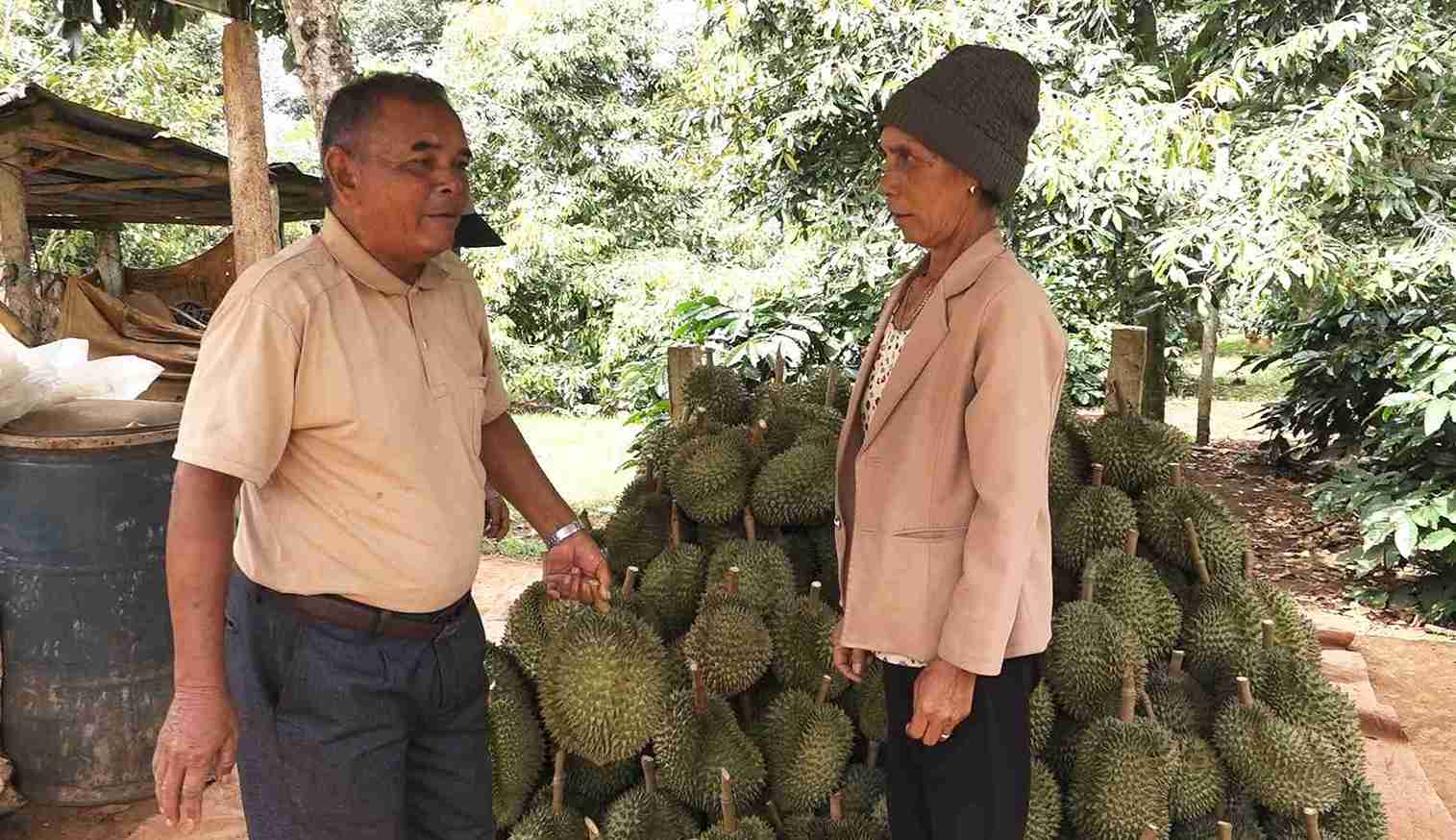 Người dân xã Krông Năng được người có uy tín giúp sức trồng cây ăn quả, có giá trị kinh tế cao. Ảnh: Bảo Lâm