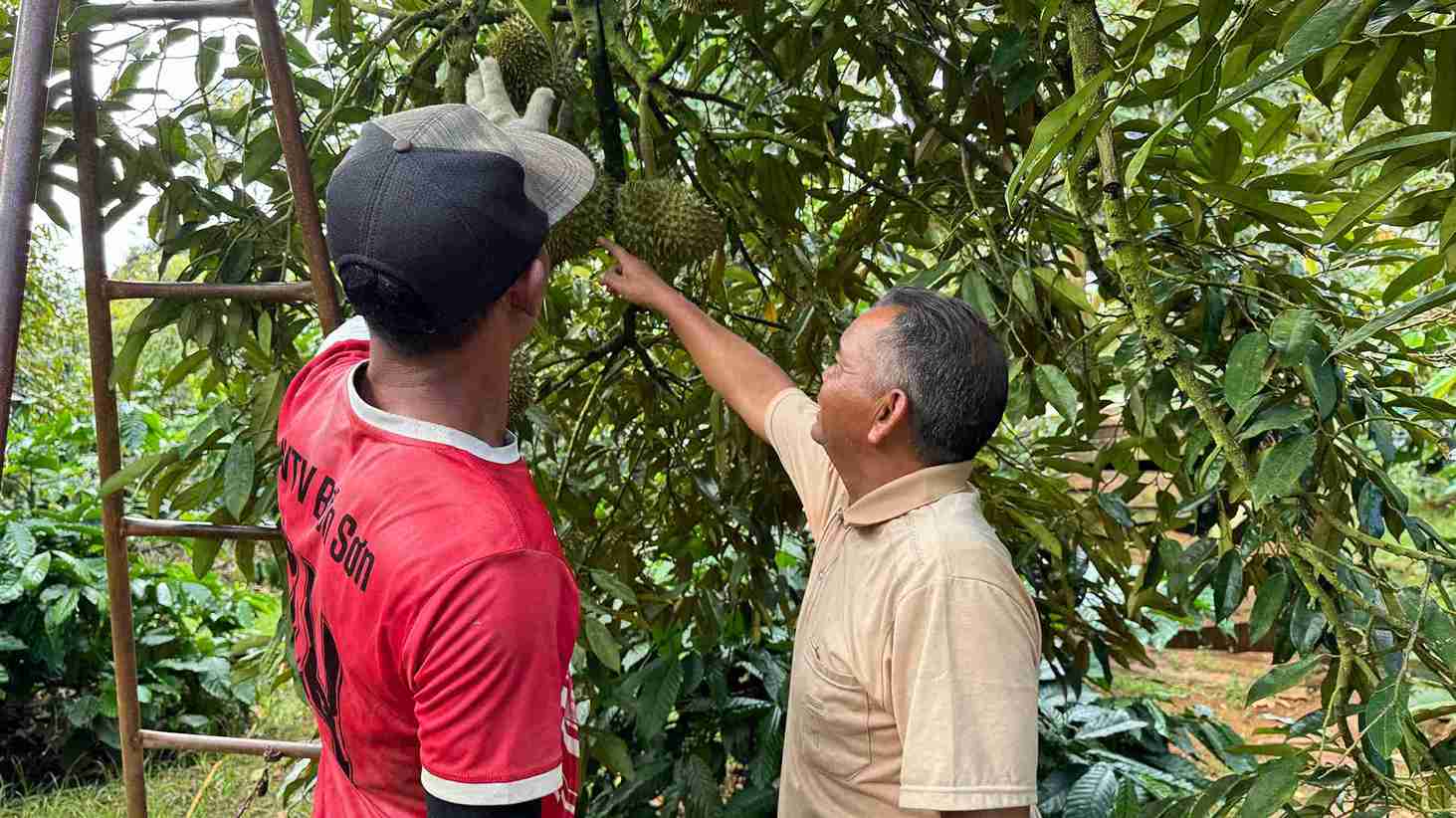 Làm nông nghiệp vẫn là hướng đi bền vững, giúp đồng bào dân tộc thiểu số thoát nghèo. Ảnh: Bảo Lâm
