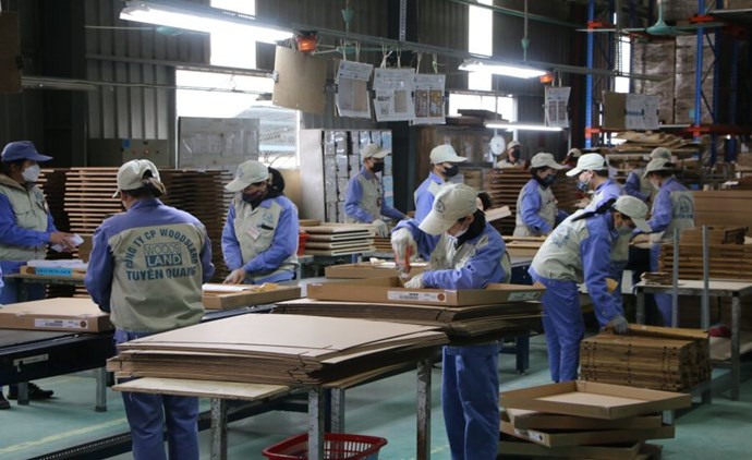 Tạo việc làm hiệu quả góp phần quan trọng vào công tác giảm nghèo tại Tuyên Quang. Ảnh: Việt Bắc.