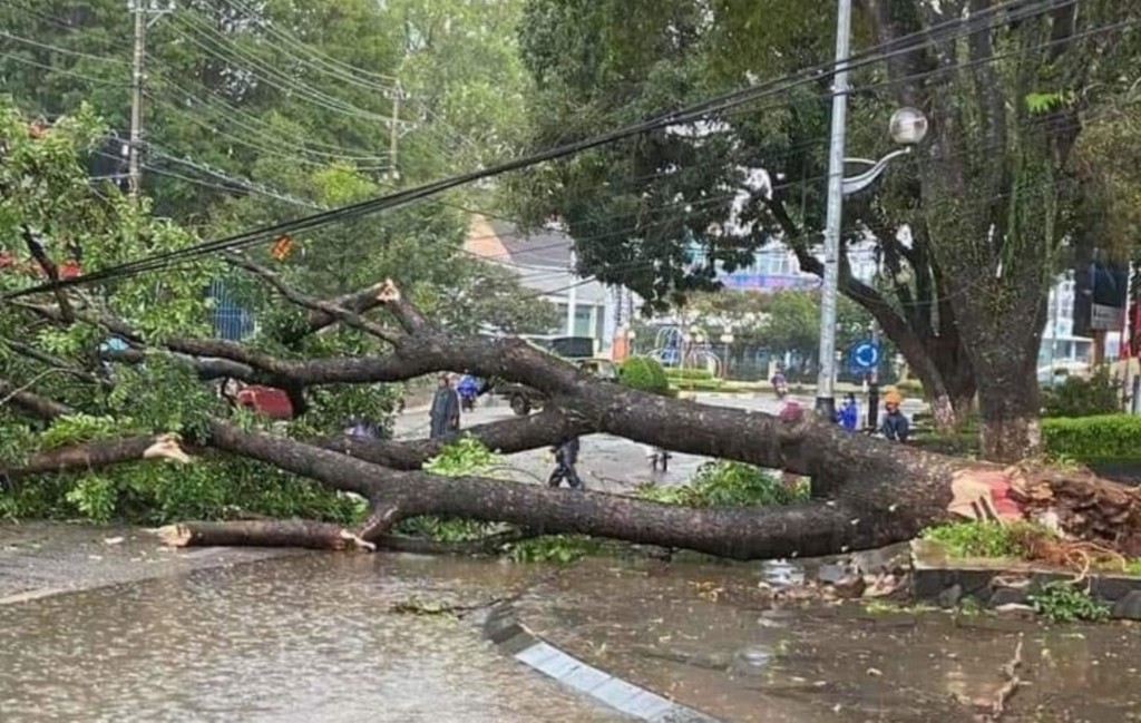 Ảnh minh hoạ Ảnh minh hoạ