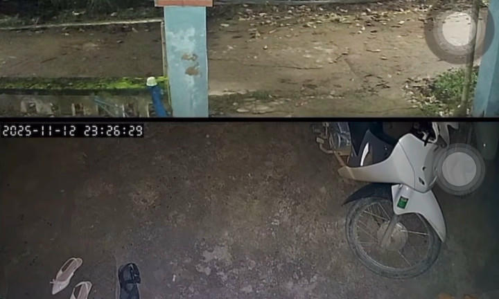 Người dân ở Hà Nội cảm nhận rung lắc nhẹ vào khoảng 23h26 ngày 12/11. (Ảnh: Chụp màn hình)