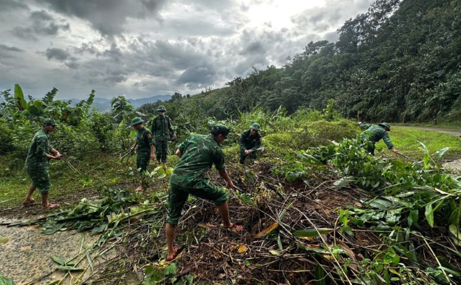 Cây cối phủ lối đi cần phải dọn dẹp để thông đường. Ảnh: H.Nguyên