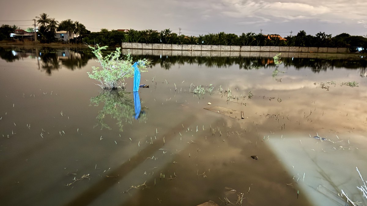 Khu ruộng ngập nước - nơi tìm thấy thi thể bé trai. Ảnh: Duy Tuấn