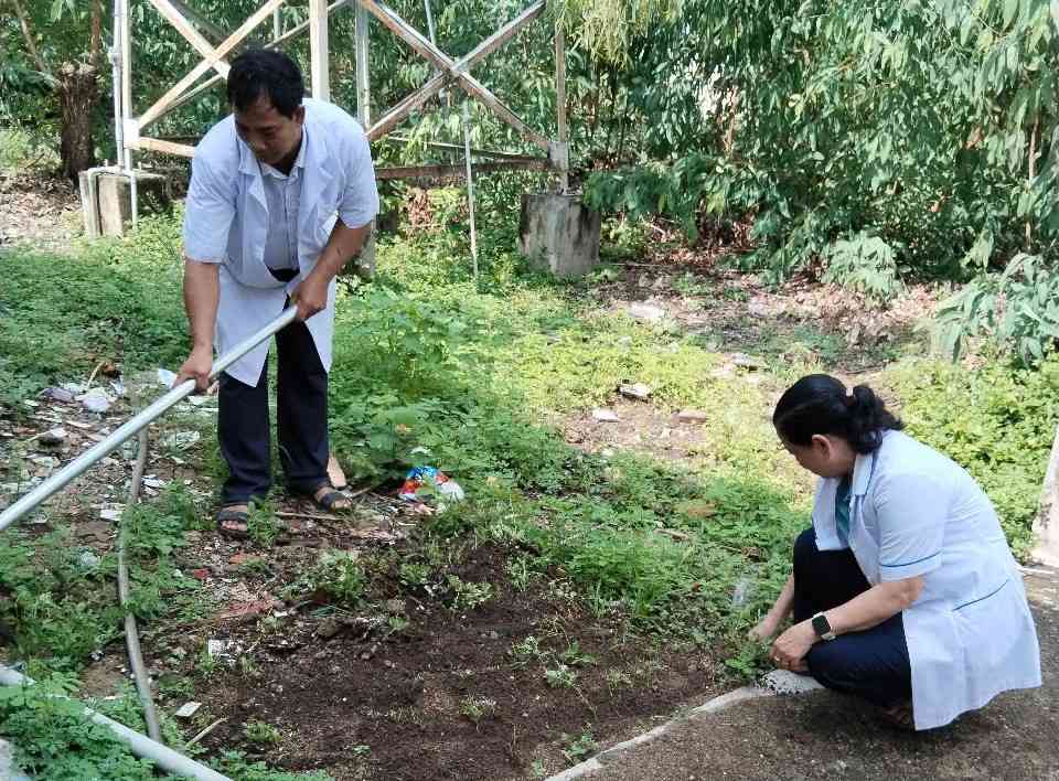 Xã Buôn Đôn chăm sóc, phát triển vườn thuốc nam để hỗ trợ chăm sóc sức khỏe cho bà con. Ảnh: Bảo Lâm