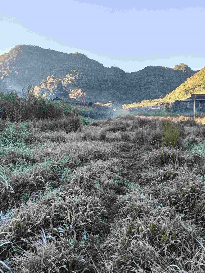 Băng giá phủ trắng đỉnh núi ở xã Na Ngoi khi nền nhiệt giảm dưới 0°C