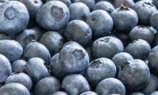 Mẹo tăng cường sức khỏe thận nhờ quả việt quất