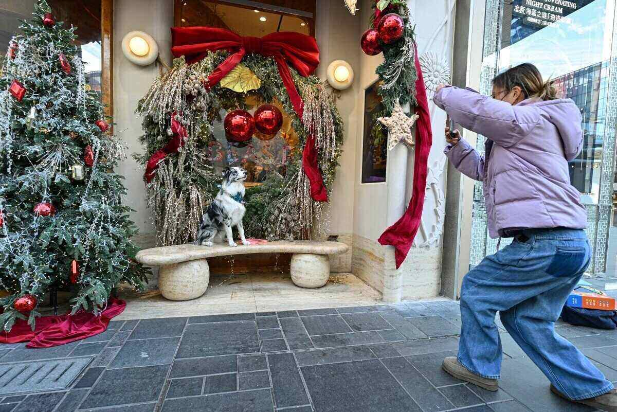 Một người phụ nữ chụp ảnh chú chó của mình cùng với những đồ trang trí Giáng sinh tại trung tâm mua sắm Taikoo Li ở Bắc Kinh, Trung Quốc ngày 24.12.2025. Ảnh: AFP