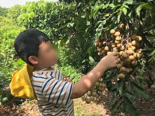 Những việc cha mẹ cần làm để bảo vệ trẻ em trước nguy cơ bị xâm hại