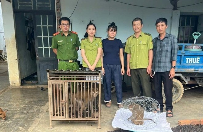 Người dân giao nộp 2 cá thể khỉ, lực lượng chức năng thả về tự nhiên