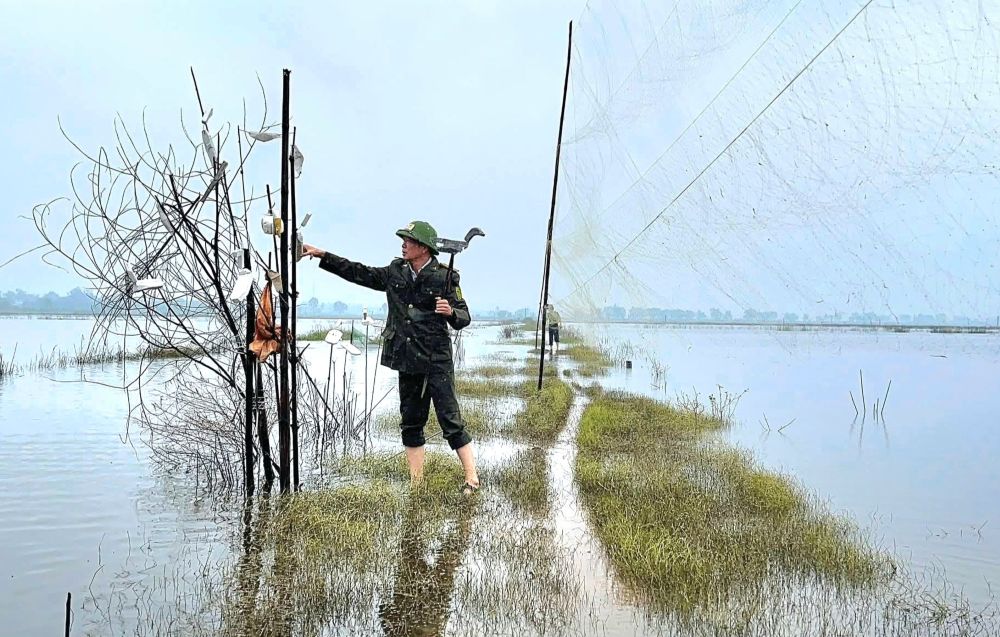 Kiểm lâm TP Huế cho biết, để chấm dứt tình trạng săn bắt chim trời, thời gian tới đơn vị sẽ tiếp tục phối hợp với các đơn vị, tăng cường tuần tra mùa chim di cư, đồng thời ứng dụng camera giám sát và thiết bị bay không người lái để kịp thời phát hiện các điểm vi phạm.