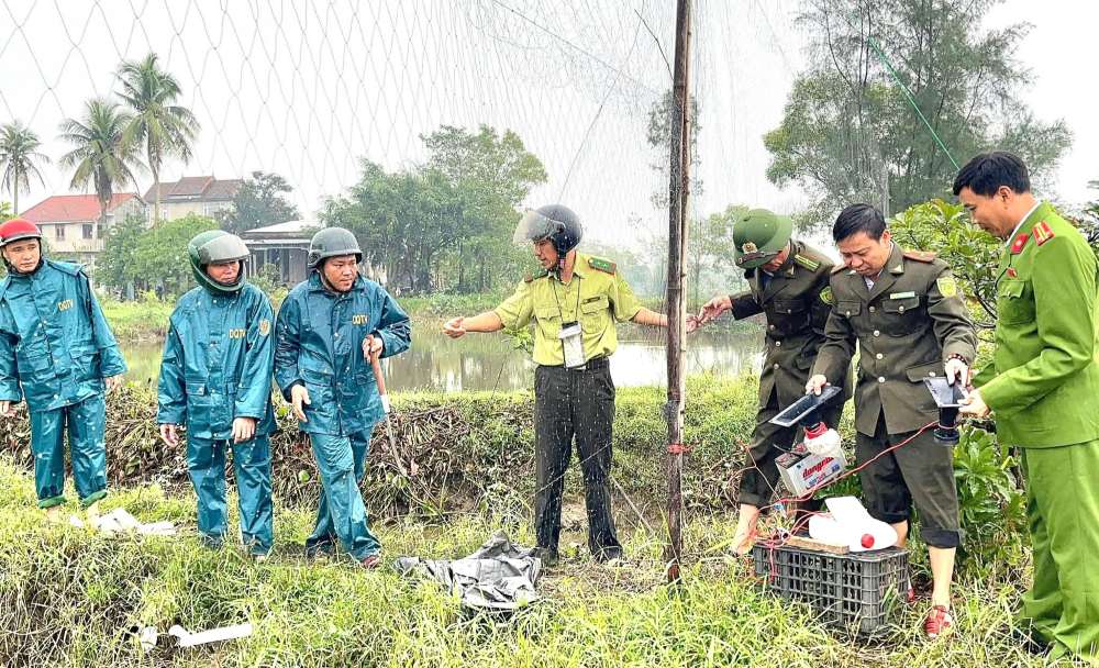 Chi cục Kiểm lâm TP Huế cho biết, từ đầu năm 2025 đến nay, các lực lượng liên ngành đã tổ chức 42 đợt truy quét quy mô lớn nhằm ngăn chặn nạn săn bắt chim hoang dã.