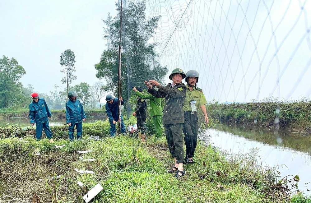 Qua kiểm tra, lực lượng chức năng đã thu giữ và tiêu hủy tại chỗ khối lượng tang vật rất lớn, gồm hơn 15.620m lưới và 62.550 que dính nhựa dùng để bẫy chim.