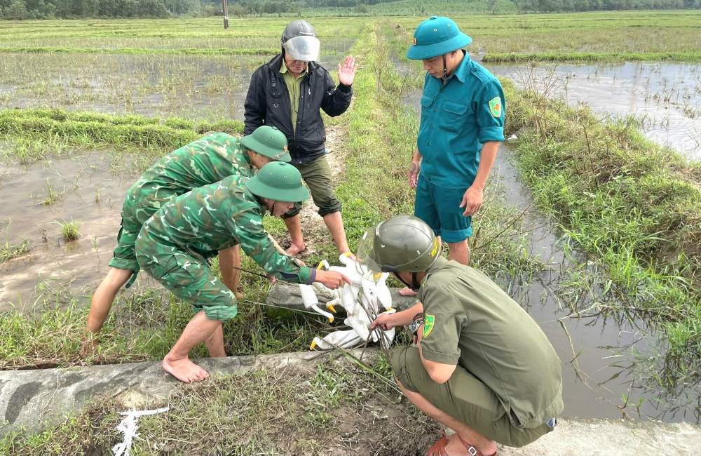 Từ đầu năm 2025 đến nay, có hơn 9.000 con cò giả, 543 cọc tre và 83 bẫy kẹp cũng bị phát hiện, tháo dỡ và tiêu hủy ngay tại hiện trường.