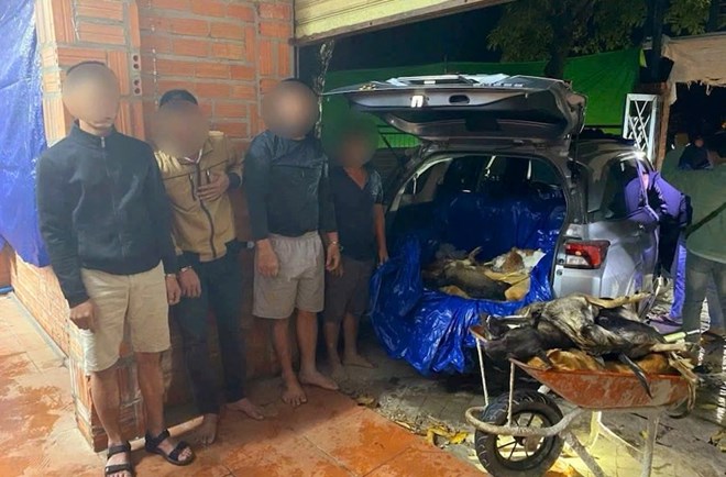 Triệt phá 2 tụ điểm nghi trộm cắp, tiêu thụ chó quy mô lớn