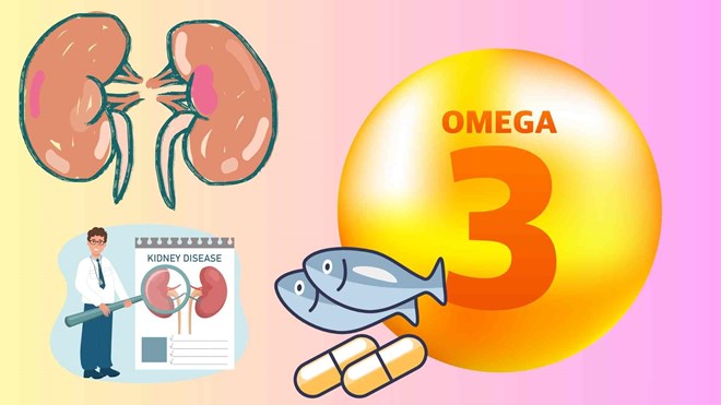 Cá béo, hạt chia... là nguồi giàu omega-3. Đồ họa: Huyền Trang