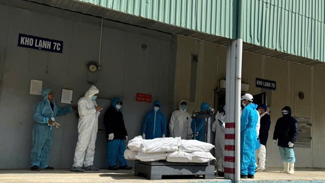 Hơn 14 giờ chôn lấp kho thực phẩm nhiễm dịch của Đồ hộp Hạ Long