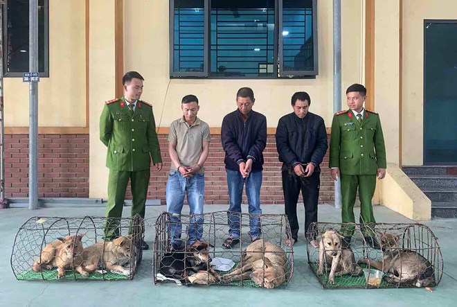 Khởi tố nhóm trộm chó mang súng điện, dao, bình xịt hơi cay